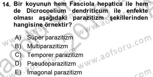 Temel Veteriner Parazitoloji Dersi 2016 - 2017 Yılı (Vize) Ara Sınav Soruları 14. Soru