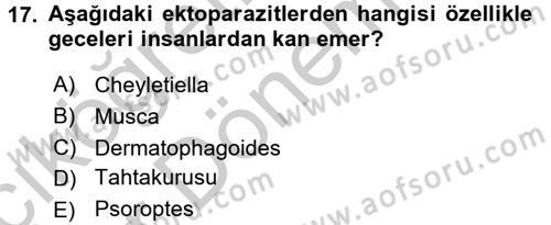 Temel Veteriner Parazitoloji Dersi 2016 - 2017 Yılı (Vize) Ara Sınav Soruları 17. Soru