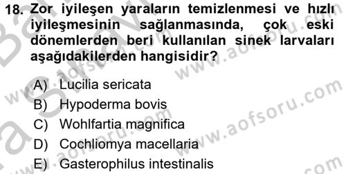 Temel Veteriner Parazitoloji Dersi 2016 - 2017 Yılı (Vize) Ara Sınav Soruları 18. Soru