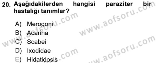 Temel Veteriner Parazitoloji Dersi 2016 - 2017 Yılı (Vize) Ara Sınavı 20. Soru