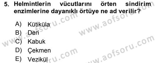 Temel Veteriner Parazitoloji Dersi 2016 - 2017 Yılı (Vize) Ara Sınav Soruları 5. Soru