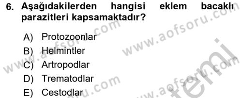 Temel Veteriner Parazitoloji Dersi 2016 - 2017 Yılı (Vize) Ara Sınav Soruları 6. Soru