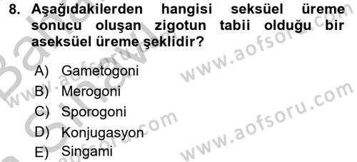 Temel Veteriner Parazitoloji Dersi 2016 - 2017 Yılı (Vize) Ara Sınav Soruları 8. Soru