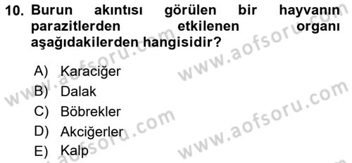 Temel Veteriner Parazitoloji Dersi 2016 - 2017 Yılı (Final) Dönem Sonu Sınav Soruları 10. Soru