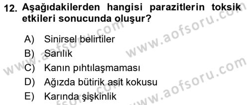 Temel Veteriner Parazitoloji Dersi 2016 - 2017 Yılı (Final) Dönem Sonu Sınav Soruları 12. Soru