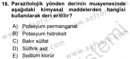 Temel Veteriner Parazitoloji Dersi 2016 - 2017 Yılı (Final) Dönem Sonu Sınav Soruları 16. Soru