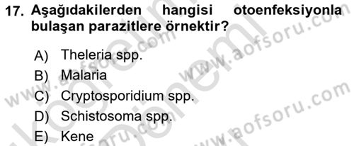 Temel Veteriner Parazitoloji Dersi 2016 - 2017 Yılı (Final) Dönem Sonu Sınav Soruları 17. Soru