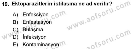 Temel Veteriner Parazitoloji Dersi 2016 - 2017 Yılı (Final) Dönem Sonu Sınav Soruları 19. Soru