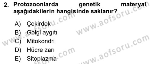 Temel Veteriner Parazitoloji Dersi 2016 - 2017 Yılı (Final) Dönem Sonu Sınav Soruları 2. Soru