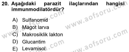 Temel Veteriner Parazitoloji Dersi 2016 - 2017 Yılı (Final) Dönem Sonu Sınav Soruları 20. Soru