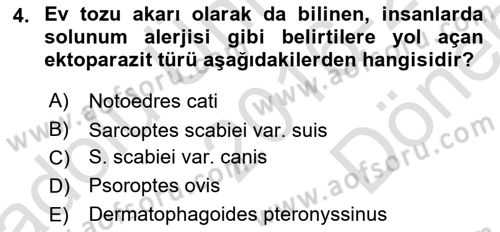Temel Veteriner Parazitoloji Dersi 2016 - 2017 Yılı (Final) Dönem Sonu Sınav Soruları 4. Soru