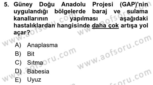 Temel Veteriner Parazitoloji Dersi 2016 - 2017 Yılı (Final) Dönem Sonu Sınav Soruları 5. Soru