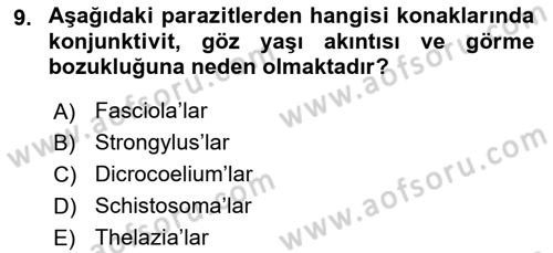Temel Veteriner Parazitoloji Dersi 2016 - 2017 Yılı (Final) Dönem Sonu Sınav Soruları 9. Soru