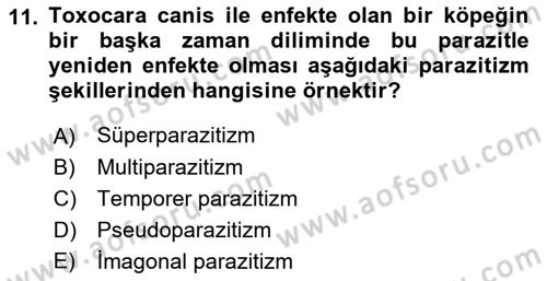 Temel Veteriner Parazitoloji Dersi 2017 - 2018 Yılı (Vize) Ara Sınavı 11. Soru