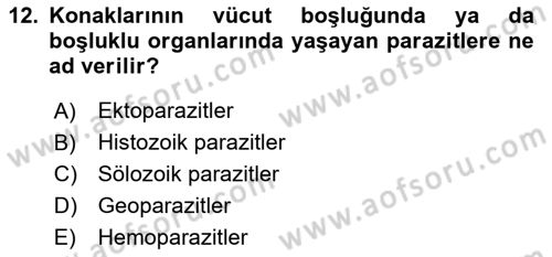 Temel Veteriner Parazitoloji Dersi 2017 - 2018 Yılı (Vize) Ara Sınavı 12. Soru