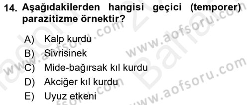 Temel Veteriner Parazitoloji Dersi 2017 - 2018 Yılı (Vize) Ara Sınav Soruları 14. Soru