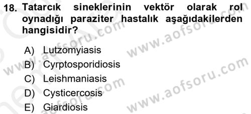 Temel Veteriner Parazitoloji Dersi 2017 - 2018 Yılı (Vize) Ara Sınavı 18. Soru