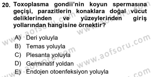 Temel Veteriner Parazitoloji Dersi 2017 - 2018 Yılı (Vize) Ara Sınavı 20. Soru