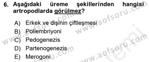 Temel Veteriner Parazitoloji Dersi 2017 - 2018 Yılı (Vize) Ara Sınav Soruları 6. Soru