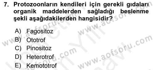 Temel Veteriner Parazitoloji Dersi 2017 - 2018 Yılı (Vize) Ara Sınavı 7. Soru