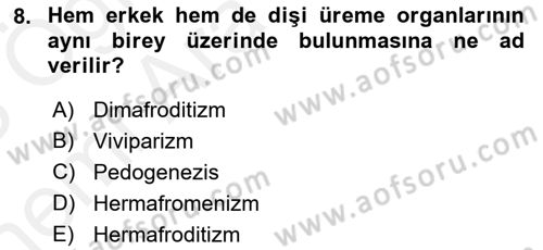 Temel Veteriner Parazitoloji Dersi 2017 - 2018 Yılı (Vize) Ara Sınavı 8. Soru