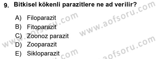 Temel Veteriner Parazitoloji Dersi 2017 - 2018 Yılı (Vize) Ara Sınavı 9. Soru