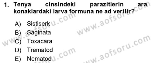 Temel Veteriner Parazitoloji Dersi 2017 - 2018 Yılı (Final) Dönem Sonu Sınav Soruları 1. Soru