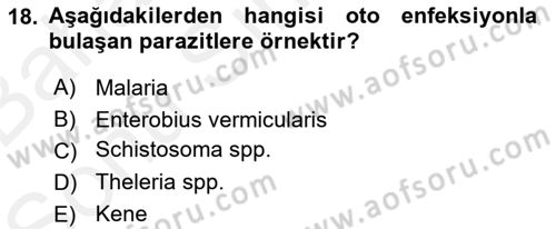 Temel Veteriner Parazitoloji Dersi 2017 - 2018 Yılı (Final) Dönem Sonu Sınav Soruları 18. Soru