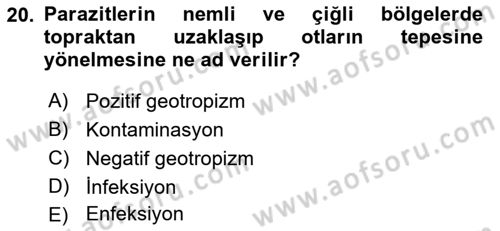 Temel Veteriner Parazitoloji Dersi 2017 - 2018 Yılı (Final) Dönem Sonu Sınav Soruları 20. Soru