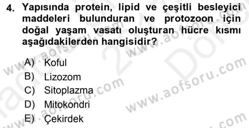 Temel Veteriner Parazitoloji Dersi 2017 - 2018 Yılı (Final) Dönem Sonu Sınav Soruları 4. Soru