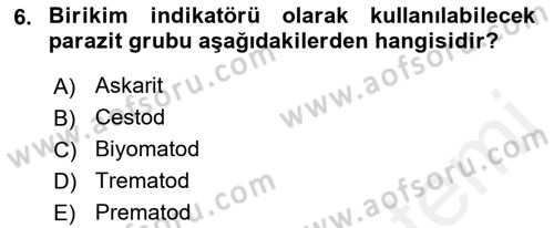Temel Veteriner Parazitoloji Dersi 2017 - 2018 Yılı (Final) Dönem Sonu Sınav Soruları 6. Soru