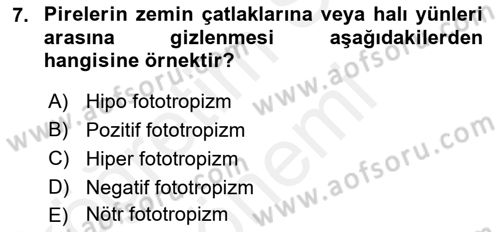 Temel Veteriner Parazitoloji Dersi 2017 - 2018 Yılı (Final) Dönem Sonu Sınav Soruları 7. Soru