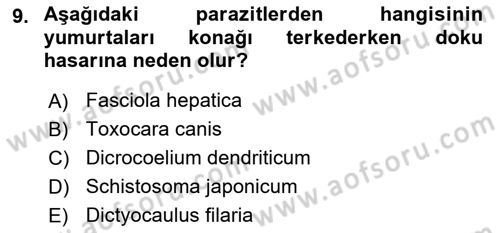 Temel Veteriner Parazitoloji Dersi 2017 - 2018 Yılı (Final) Dönem Sonu Sınav Soruları 9. Soru
