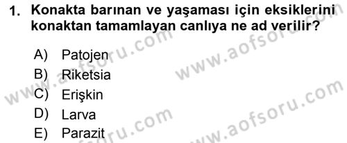Temel Veteriner Parazitoloji Dersi 2018 - 2019 Yılı (Vize) Ara Sınav Soruları 1. Soru