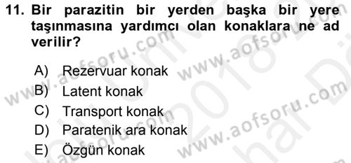 Temel Veteriner Parazitoloji Dersi 2018 - 2019 Yılı (Vize) Ara Sınav Soruları 11. Soru