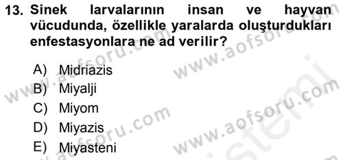 Temel Veteriner Parazitoloji Dersi 2018 - 2019 Yılı (Vize) Ara Sınav Soruları 13. Soru