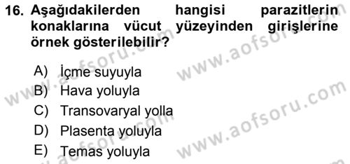 Temel Veteriner Parazitoloji Dersi 2018 - 2019 Yılı (Vize) Ara Sınav Soruları 16. Soru