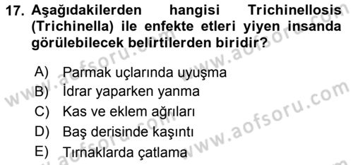 Temel Veteriner Parazitoloji Dersi 2018 - 2019 Yılı (Vize) Ara Sınav Soruları 17. Soru