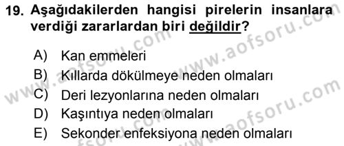 Temel Veteriner Parazitoloji Dersi 2018 - 2019 Yılı (Vize) Ara Sınav Soruları 19. Soru