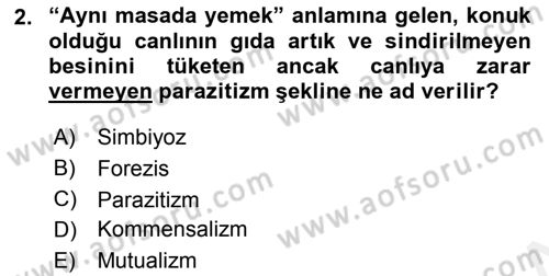Temel Veteriner Parazitoloji Dersi 2018 - 2019 Yılı (Vize) Ara Sınav Soruları 2. Soru
