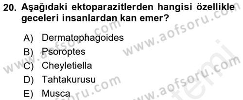 Temel Veteriner Parazitoloji Dersi 2018 - 2019 Yılı (Vize) Ara Sınav Soruları 20. Soru