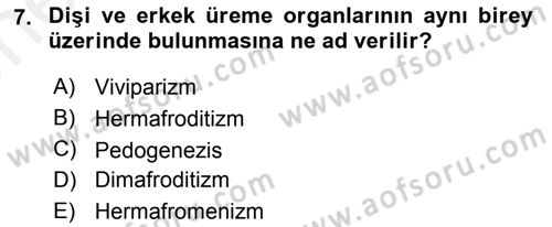 Temel Veteriner Parazitoloji Dersi 2018 - 2019 Yılı (Vize) Ara Sınav Soruları 7. Soru
