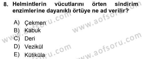 Temel Veteriner Parazitoloji Dersi 2018 - 2019 Yılı (Vize) Ara Sınav Soruları 8. Soru
