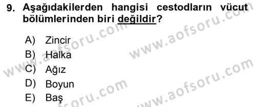 Temel Veteriner Parazitoloji Dersi 2018 - 2019 Yılı (Vize) Ara Sınav Soruları 9. Soru