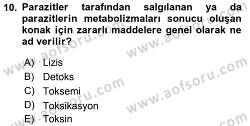 Temel Veteriner Parazitoloji Dersi 2018 - 2019 Yılı (Final) Dönem Sonu Sınavı 10. Soru