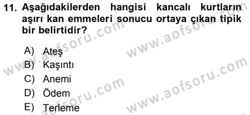 Temel Veteriner Parazitoloji Dersi 2018 - 2019 Yılı (Final) Dönem Sonu Sınavı 11. Soru