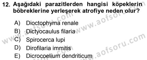 Temel Veteriner Parazitoloji Dersi 2018 - 2019 Yılı (Final) Dönem Sonu Sınavı 12. Soru