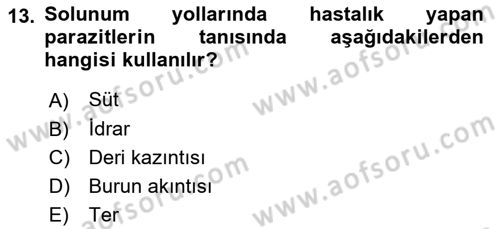 Temel Veteriner Parazitoloji Dersi 2018 - 2019 Yılı (Final) Dönem Sonu Sınavı 13. Soru