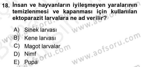 Temel Veteriner Parazitoloji Dersi 2018 - 2019 Yılı (Final) Dönem Sonu Sınavı 18. Soru