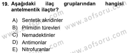 Temel Veteriner Parazitoloji Dersi 2018 - 2019 Yılı (Final) Dönem Sonu Sınavı 19. Soru